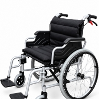 WHC-101