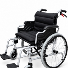 WHC-101